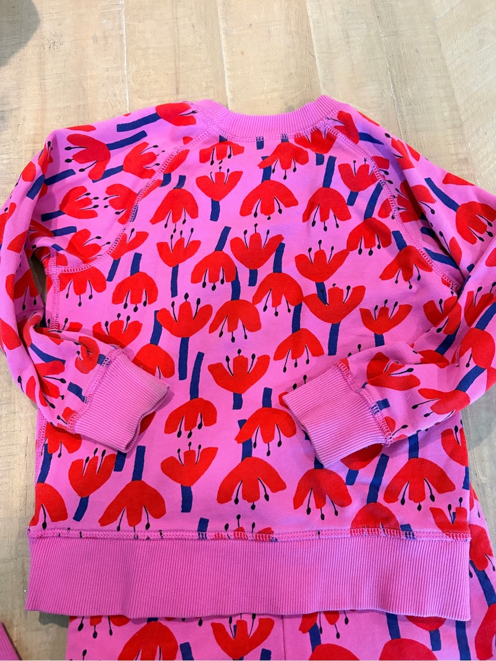 Hanna Andersson Pink Sweatsuit with Red Floral Print - Picture 3 of 6